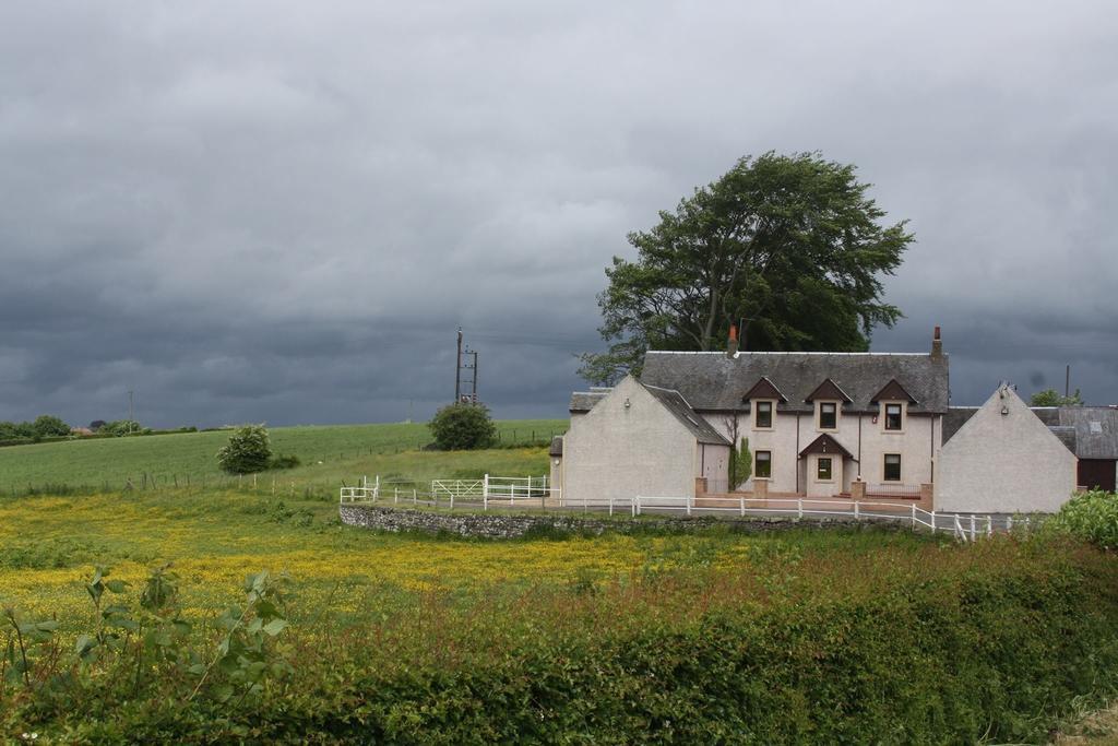 The Barn Lodge Stirling Exteriör bild